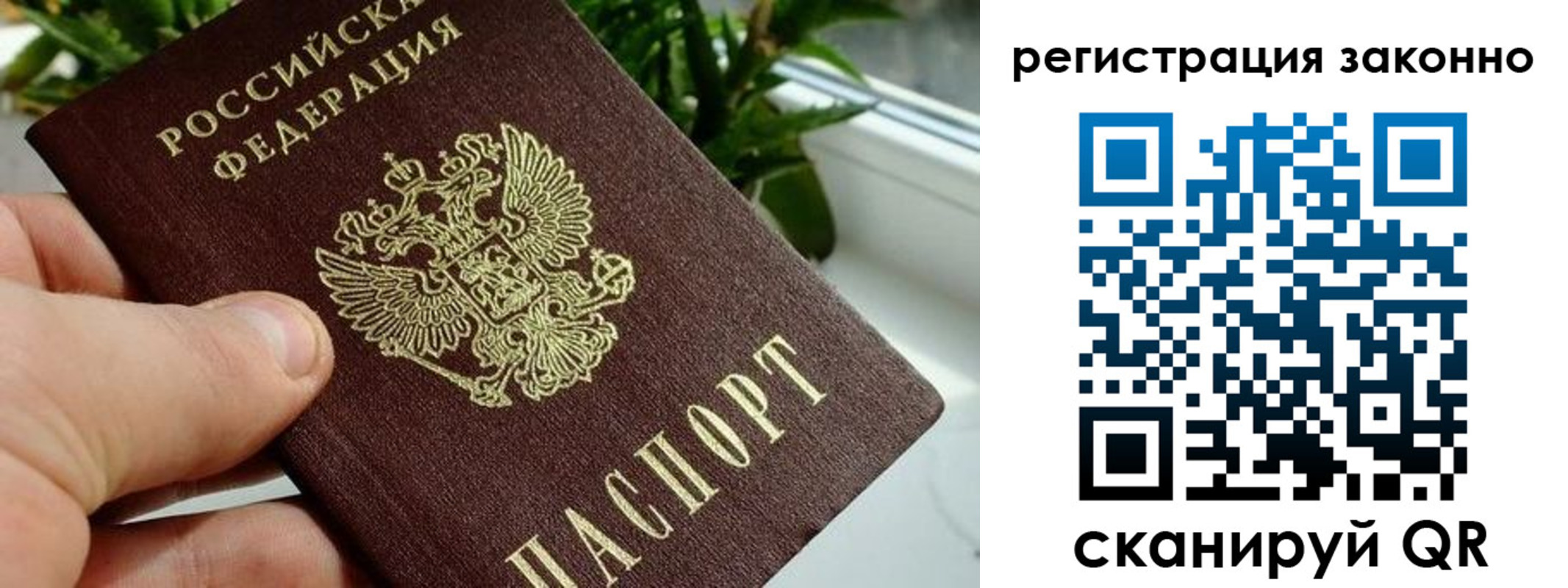 прописка гарантия в Кяхте